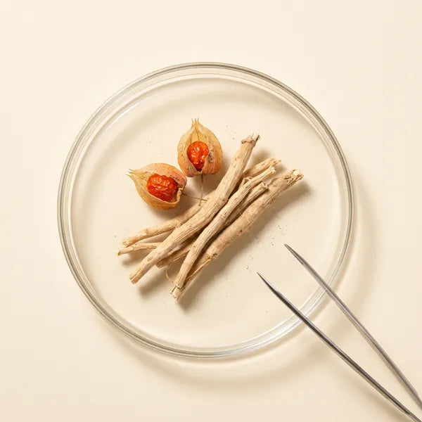 Ashwagandha specimen