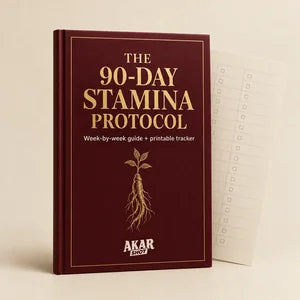 The 90-Day Stamina Protocol e-book cover with a printable tracker