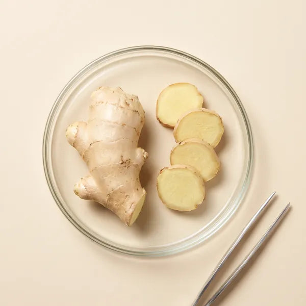 White Ginger specimen
